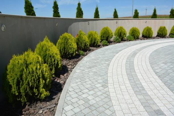 Reasons to Select Us for Your Driveway Paving Requirements in Sargent, TX